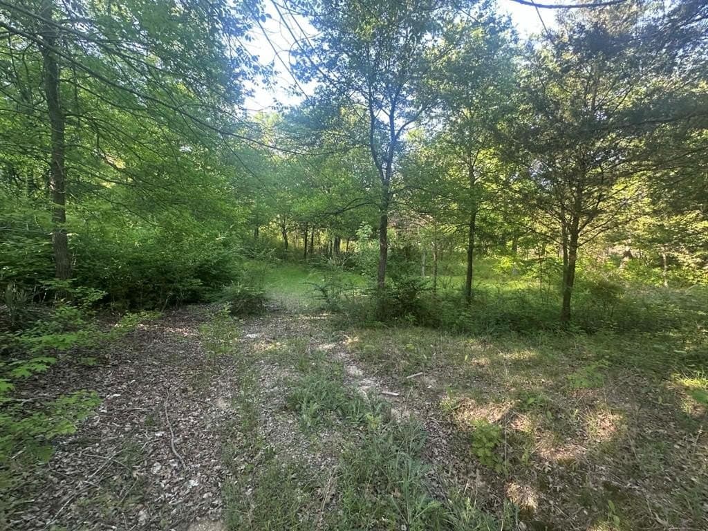 2.38 acres in Dallas County