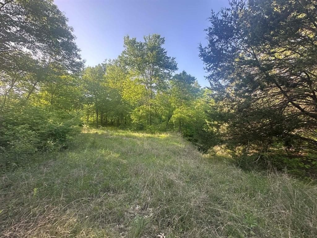 2.38 acres in Dallas County gallery image 2