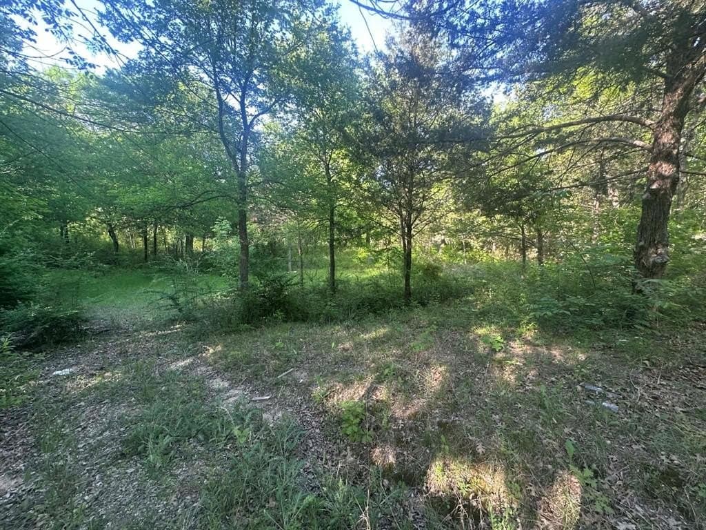 2.38 acres in Dallas County gallery image 3