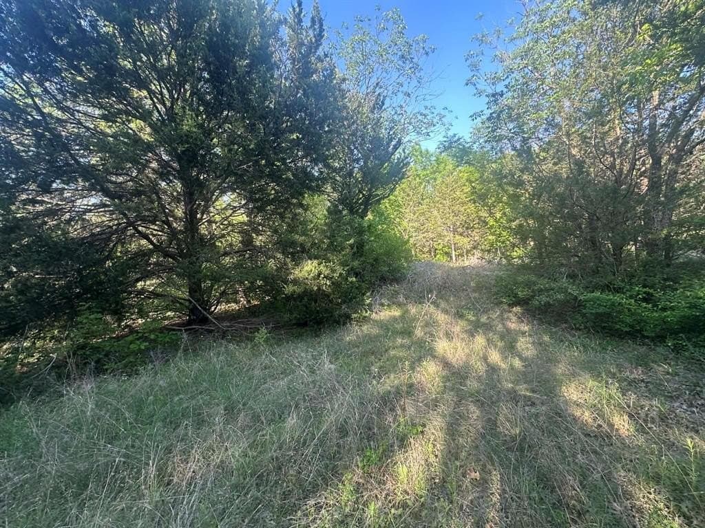 2.38 acres in Dallas County gallery image 4