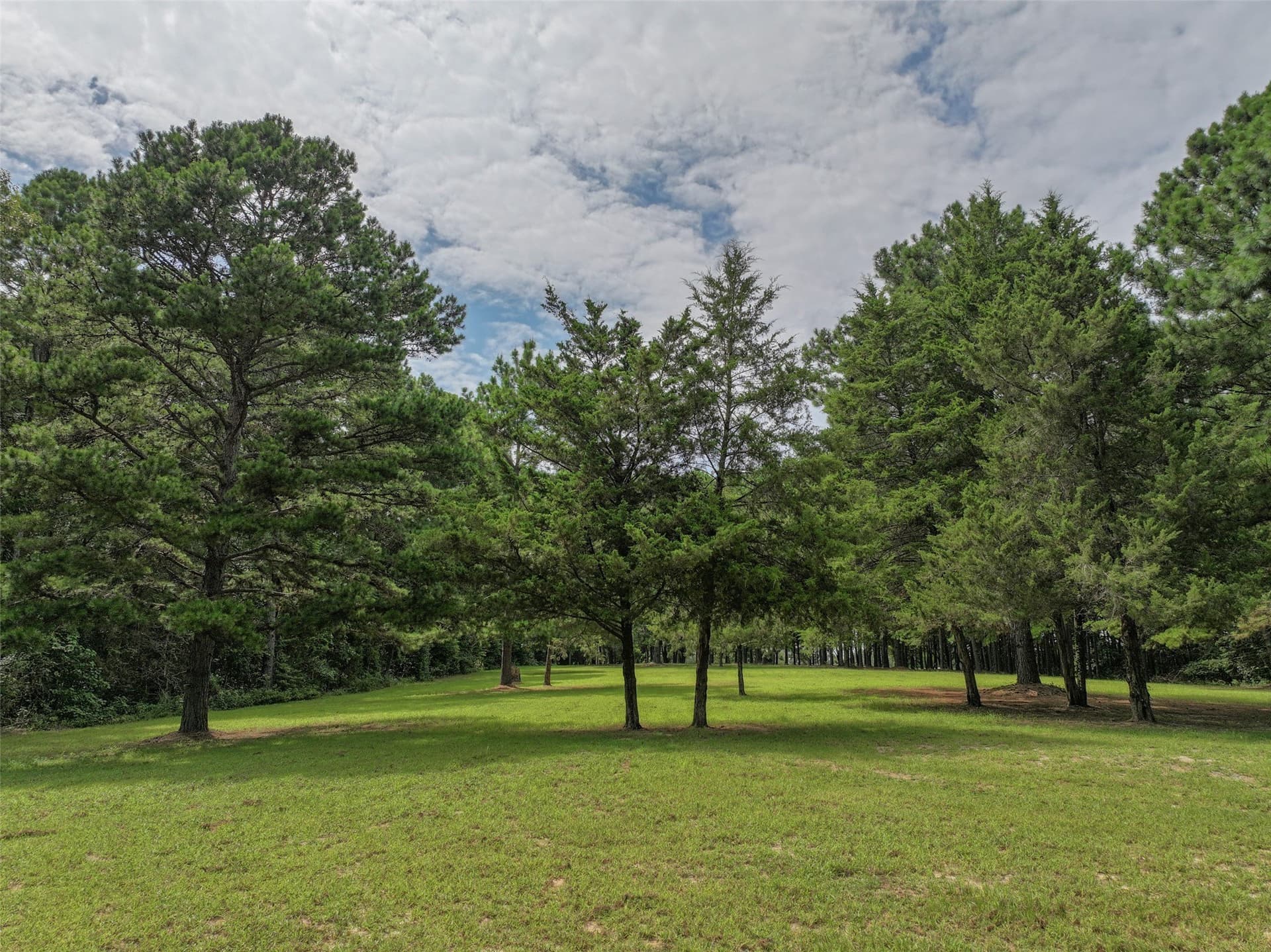 8.5 acres in Bowie County - photo 23