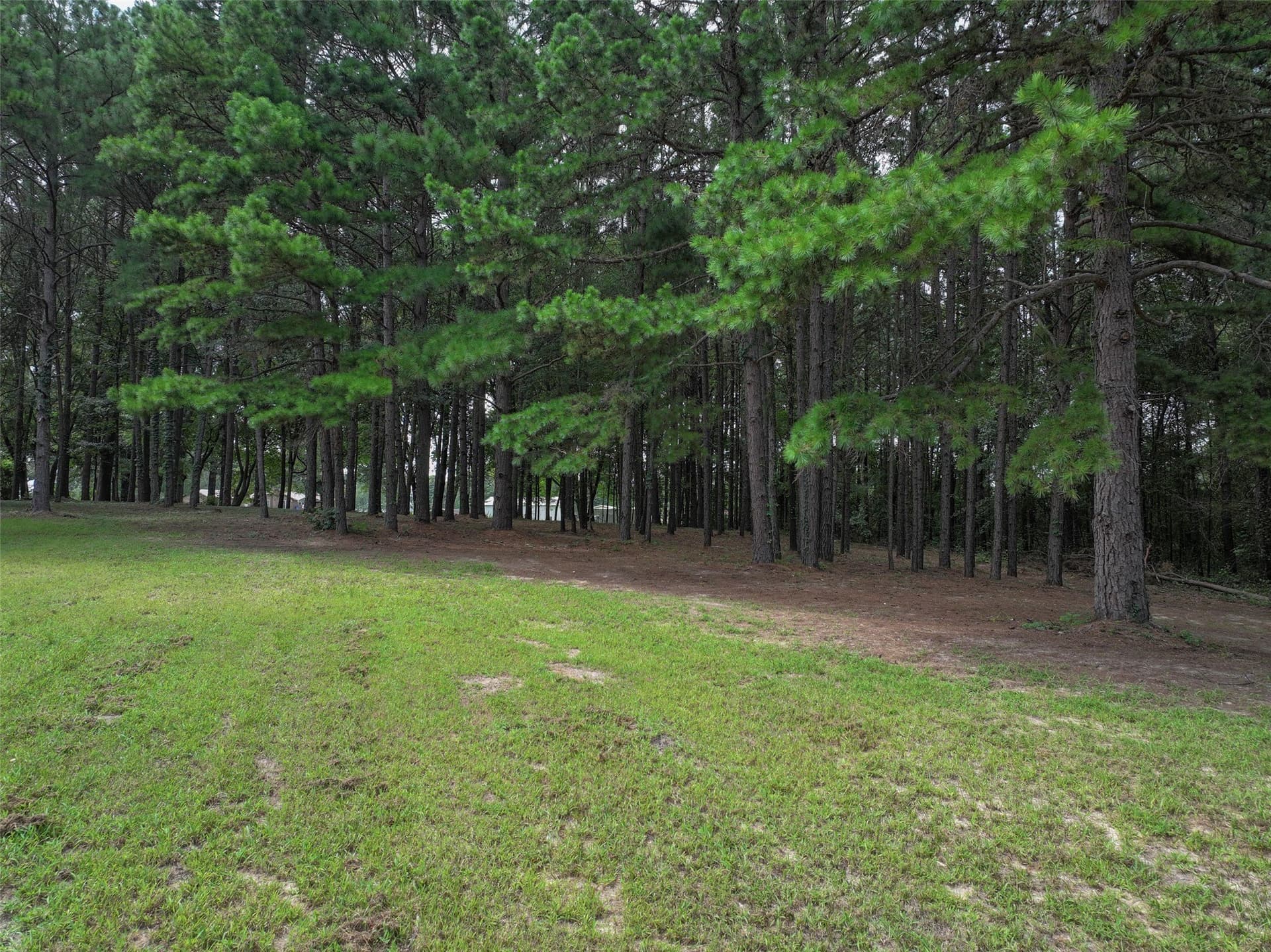 8.5 acres in Bowie County - photo 13