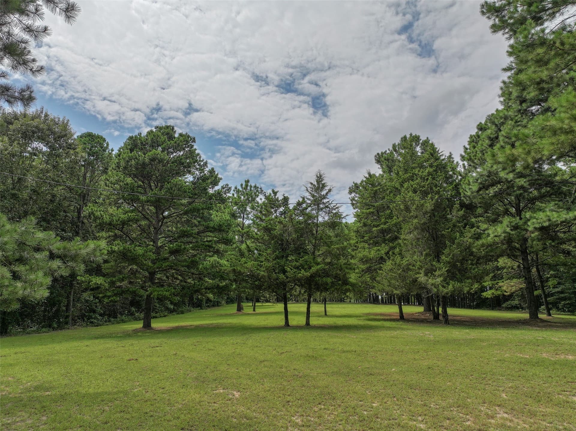 8.5 acres in Bowie County - photo 22