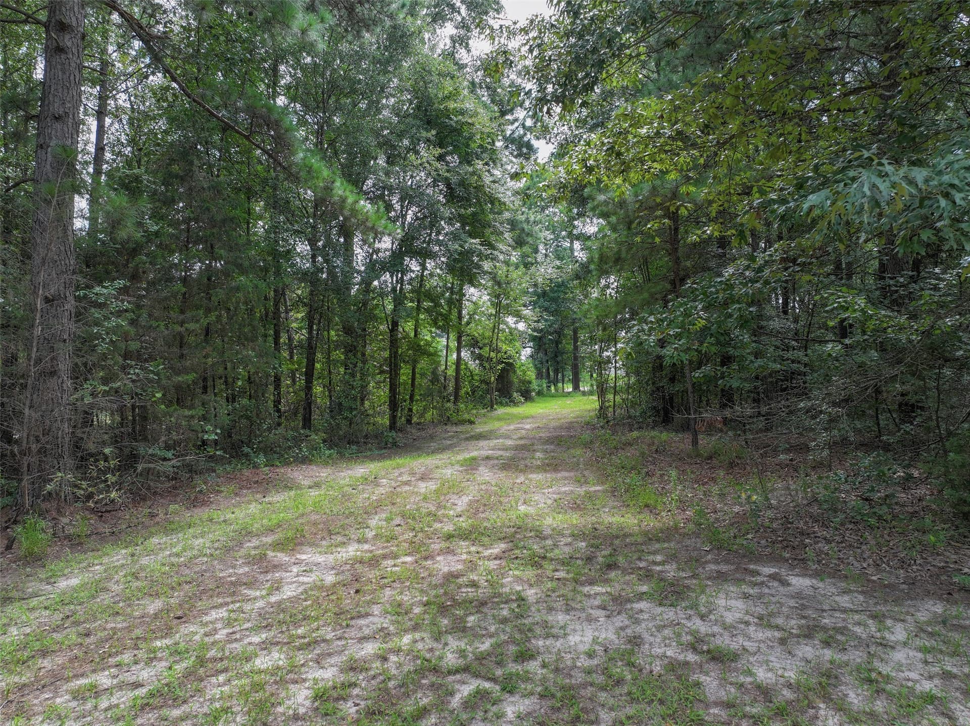 8.5 acres in Bowie County - photo 3