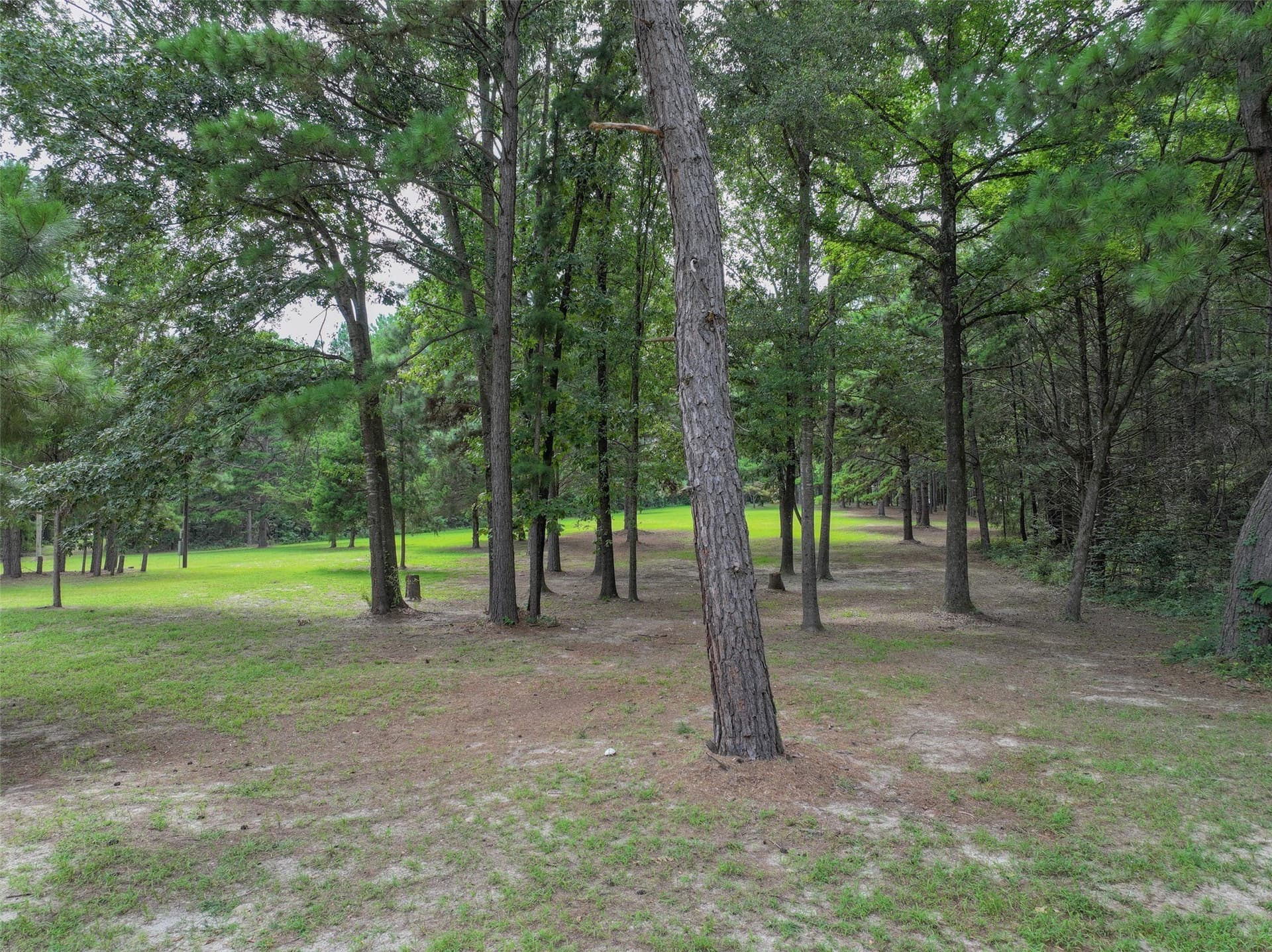 8.5 acres in Bowie County - photo 9