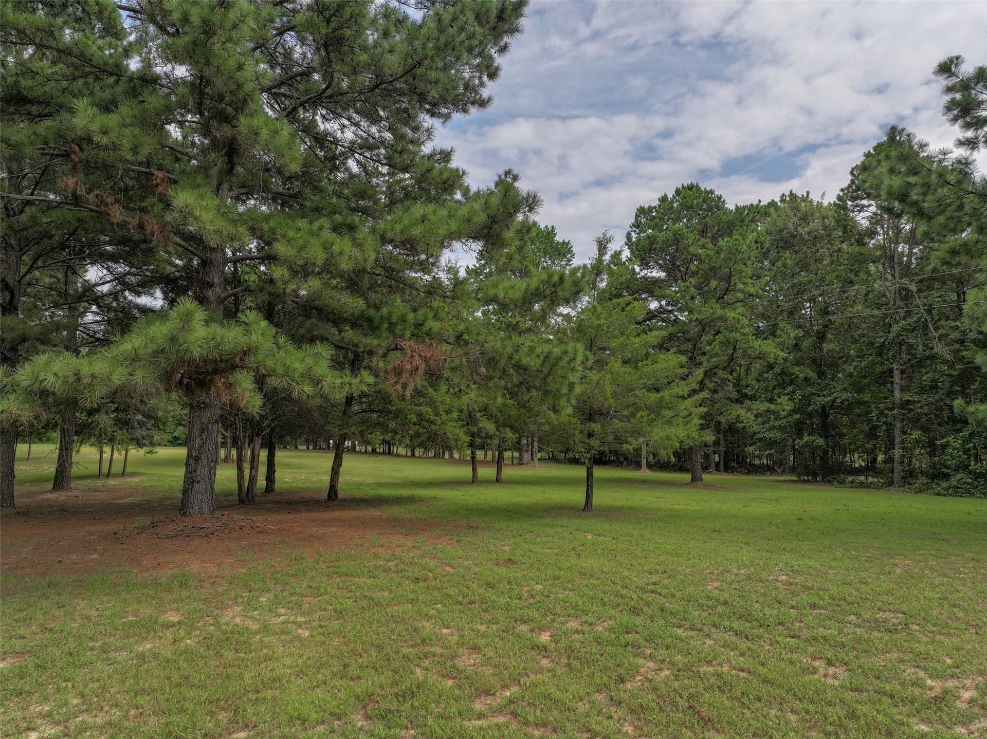 8.5 acres in Bowie County - photo 12