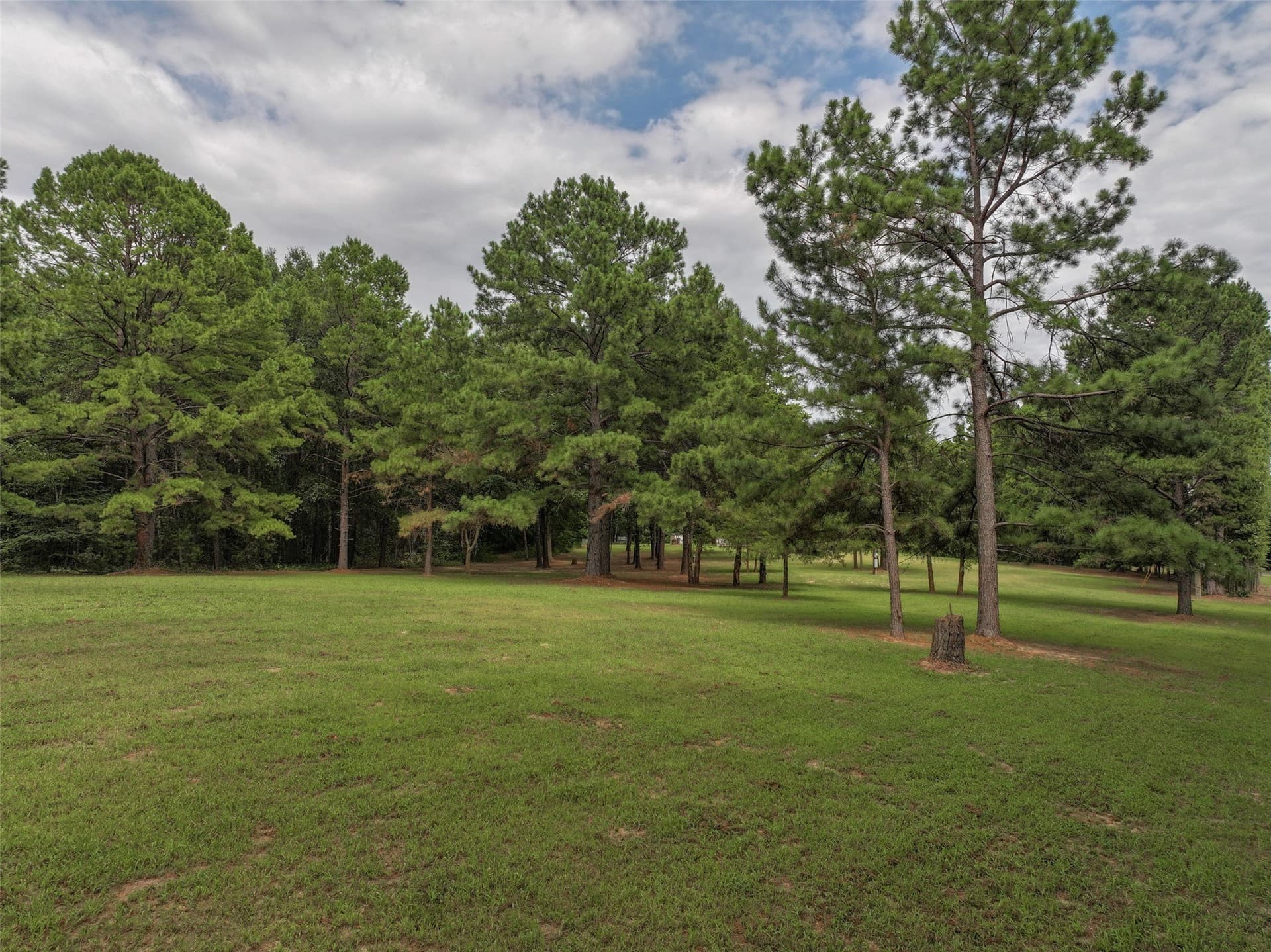 8.5 acres in Bowie County - photo 17