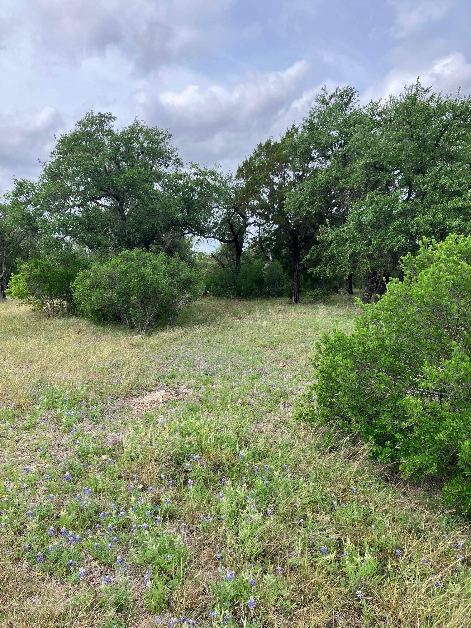 0.37 acres in Burnet County gallery image 2