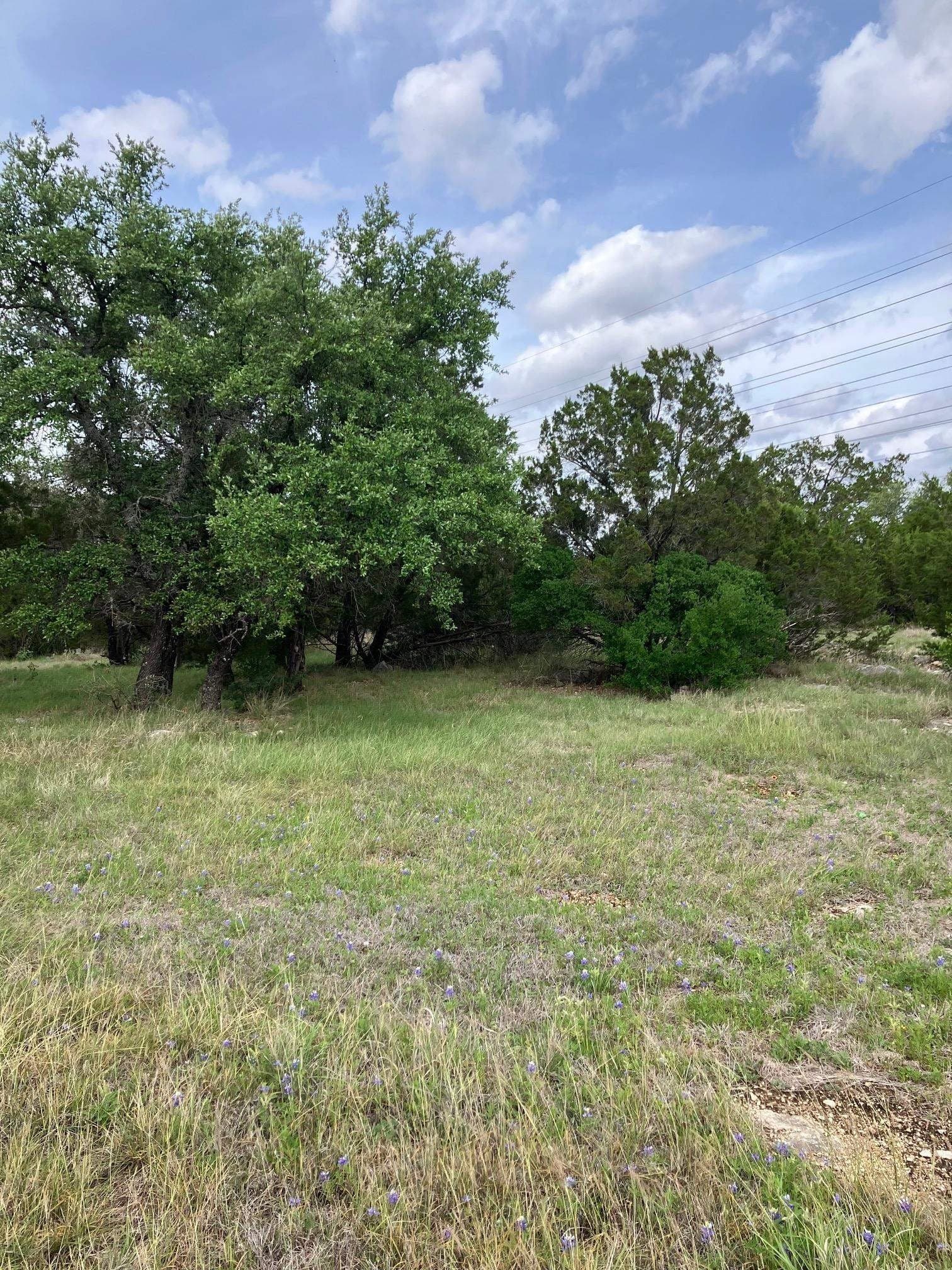 0.37 acres in Burnet County gallery image 4