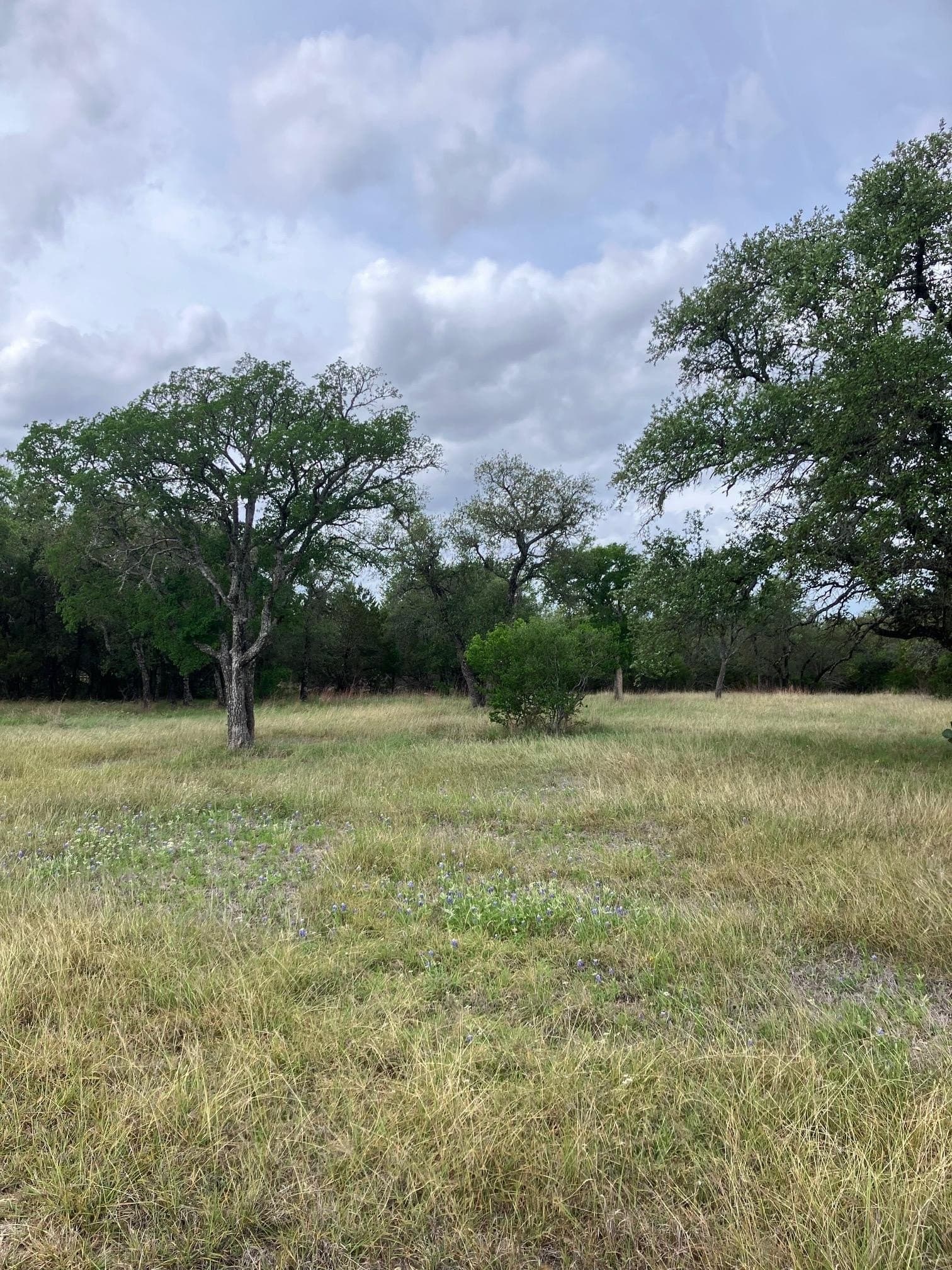 0.37 acres in Burnet County