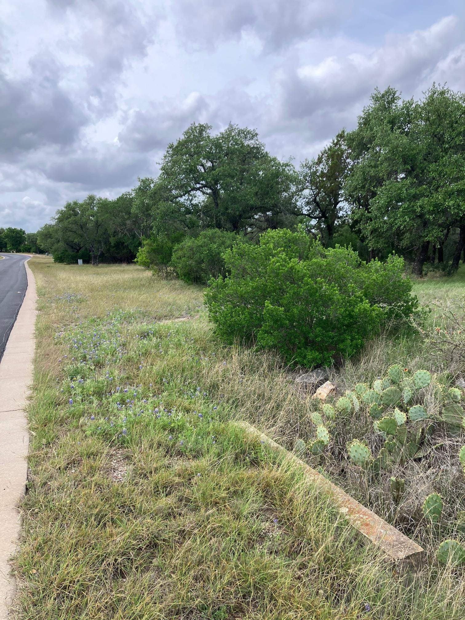 0.37 acres in Burnet County gallery image 3
