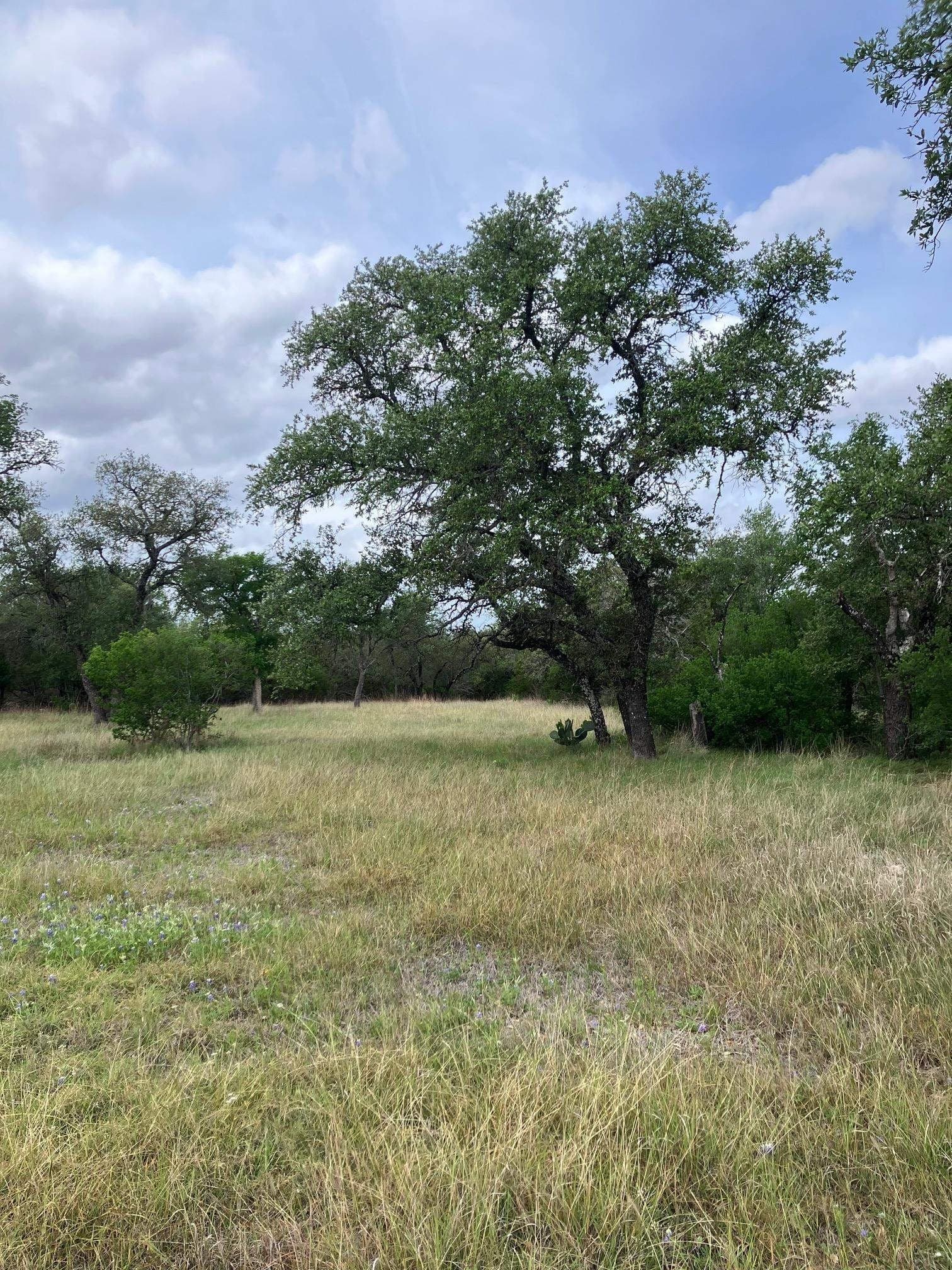 0.37 acres in Burnet County featured view
