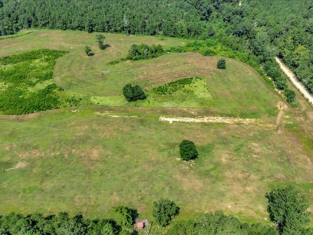 33.33 acres in Texas County gallery image 4