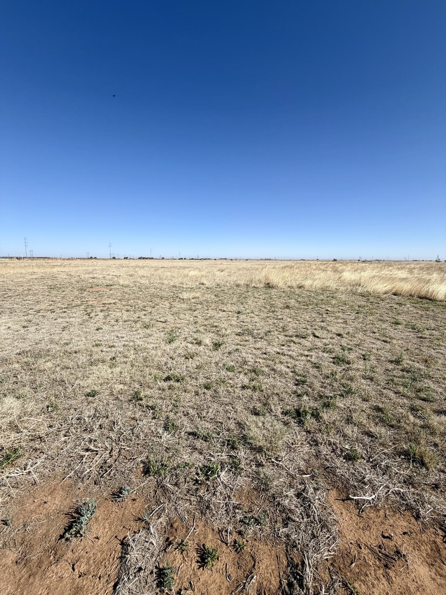 10.01 acres in Lubbock County gallery image 2