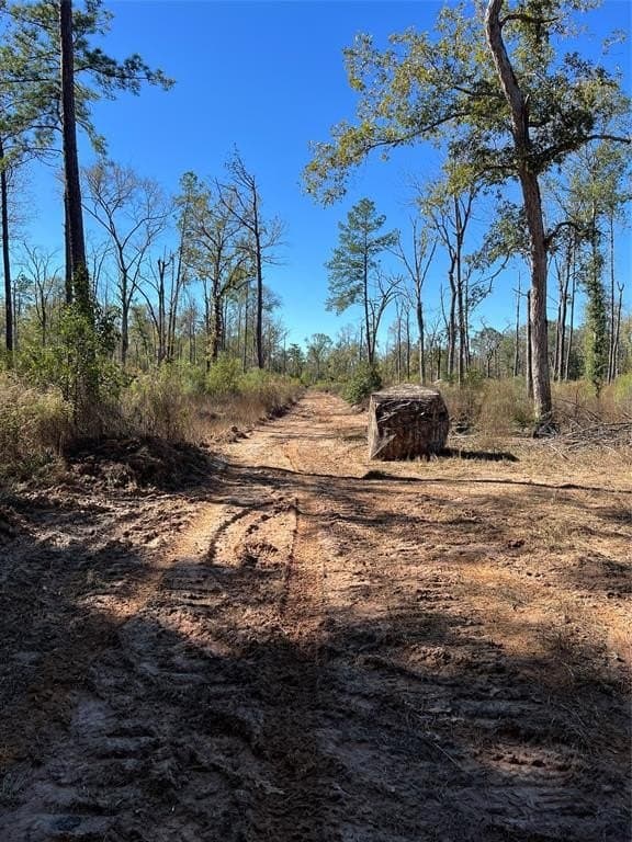 164.92 acres in Angelina County featured view