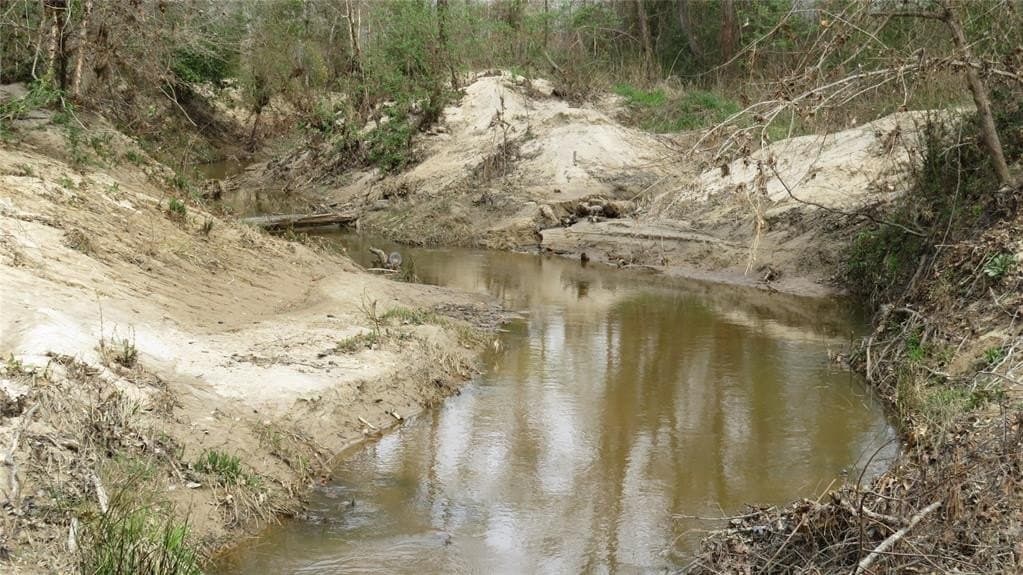 164.92 acres in Angelina County gallery image 4