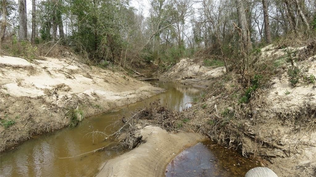 164.92 acres in Angelina County gallery image 2