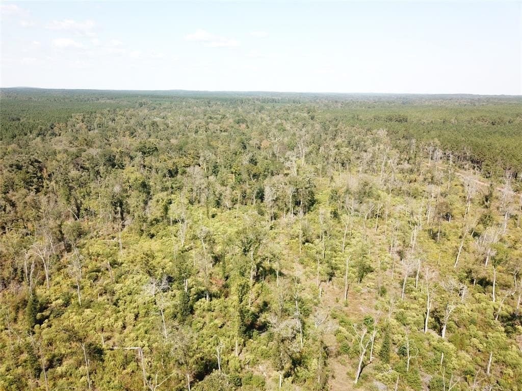 164.92 acres in Angelina County