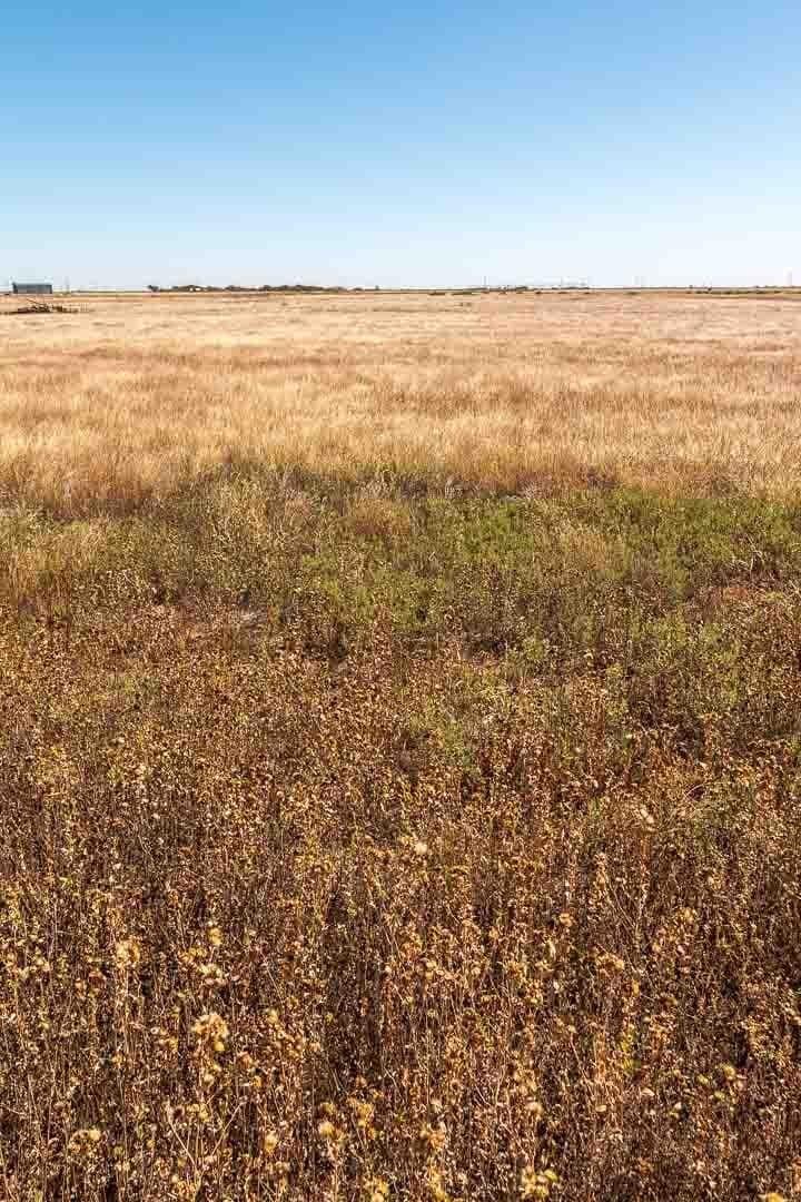 10 acres in Lubbock County gallery image 3