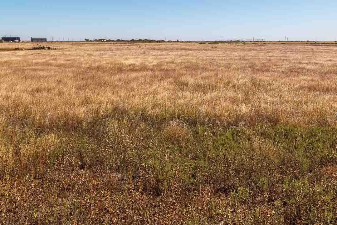 10 acres in Lubbock County gallery image 2