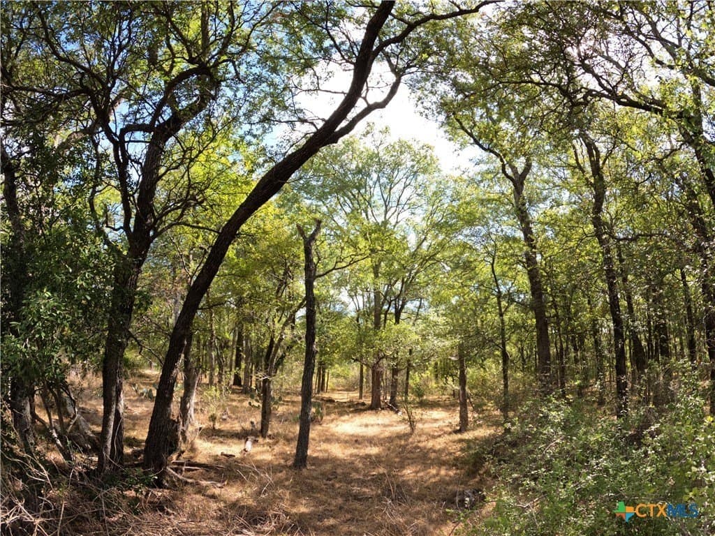 41.92 acres in Bell County - photo 19