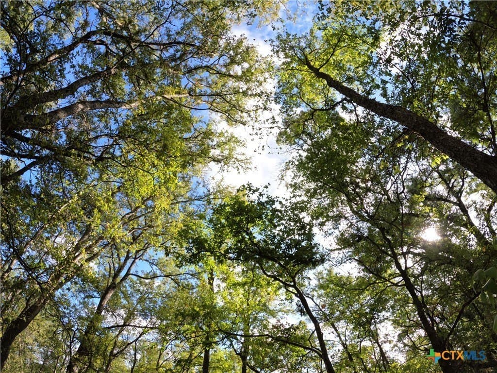 41.92 acres in Bell County - photo 10
