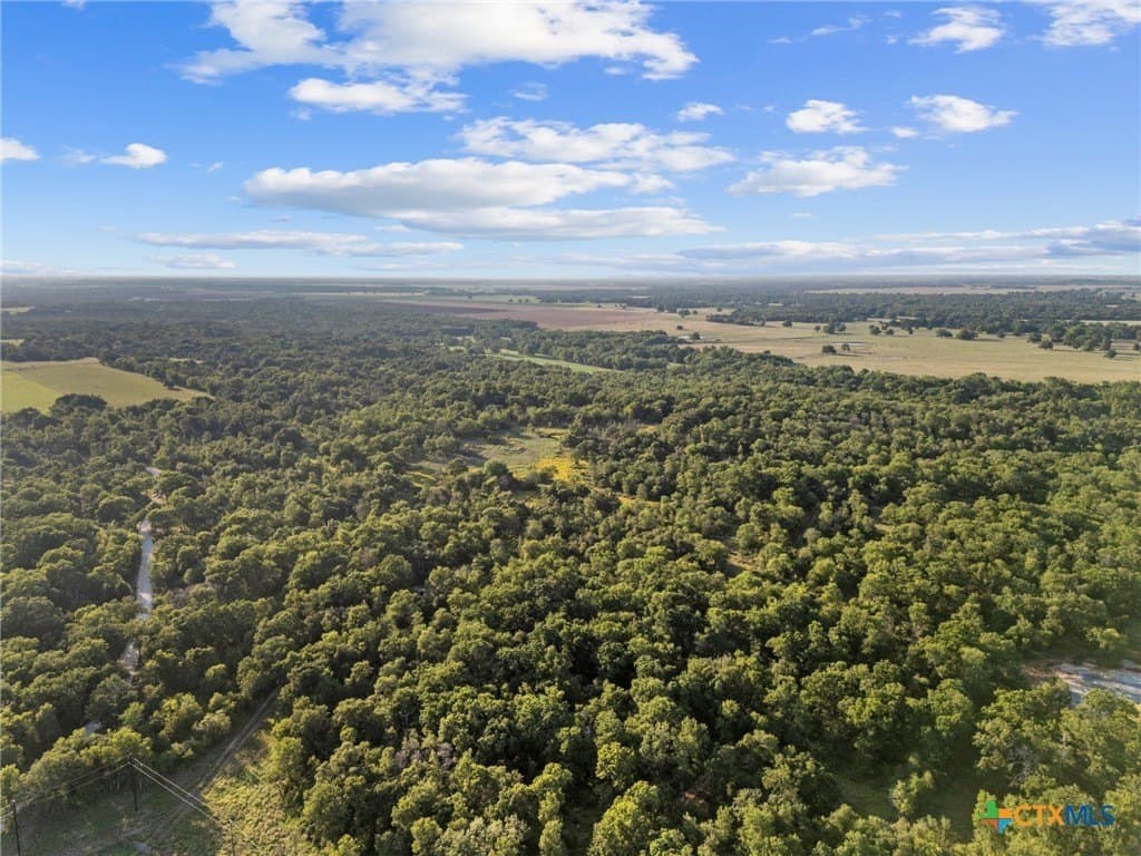 41.92 acres in Bell County - photo 5