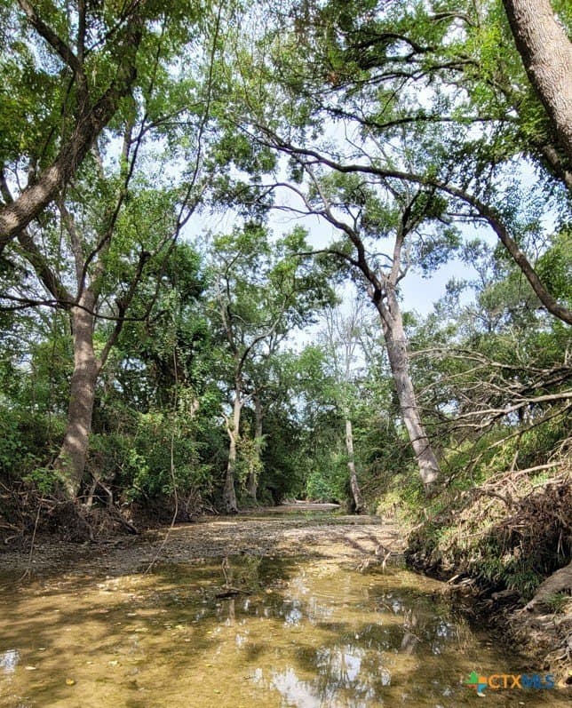 41.92 acres in Bell County - photo 3