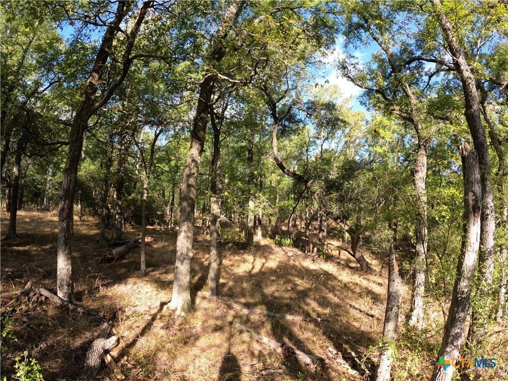 41.92 acres in Bell County - photo 15