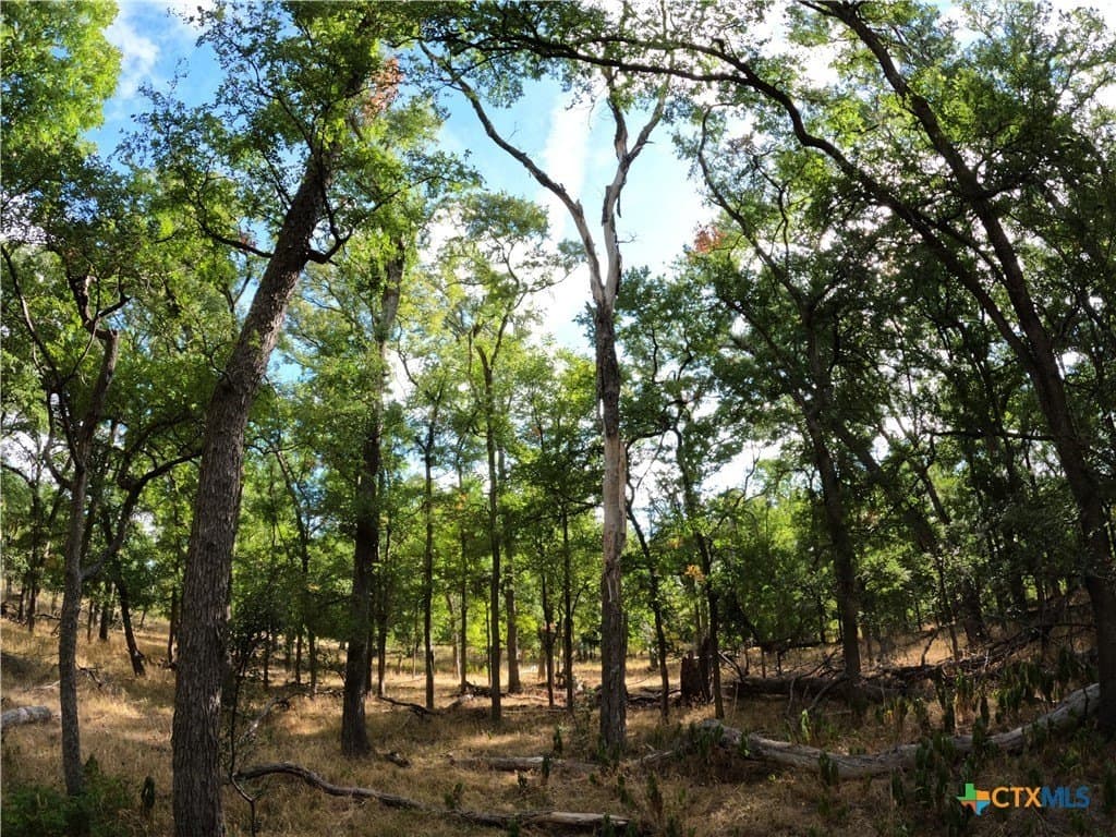41.92 acres in Bell County - photo 17