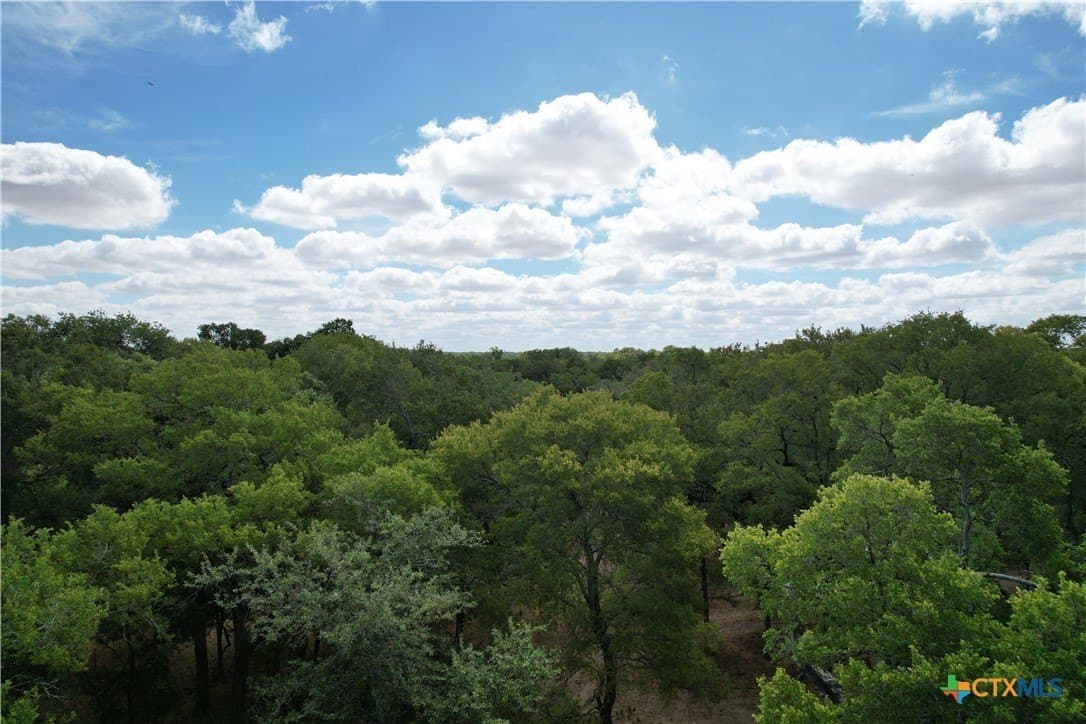 41.92 acres in Bell County - photo 4