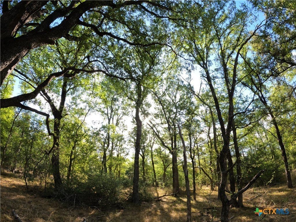41.92 acres in Bell County - photo 14