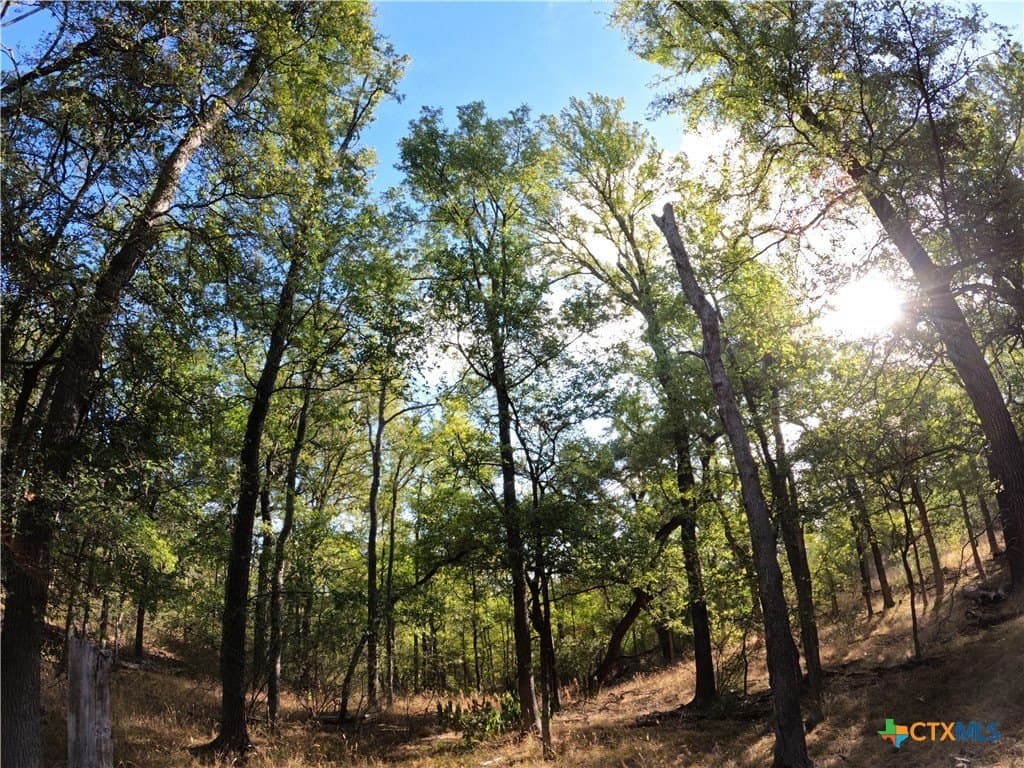 41.92 acres in Bell County - photo 8