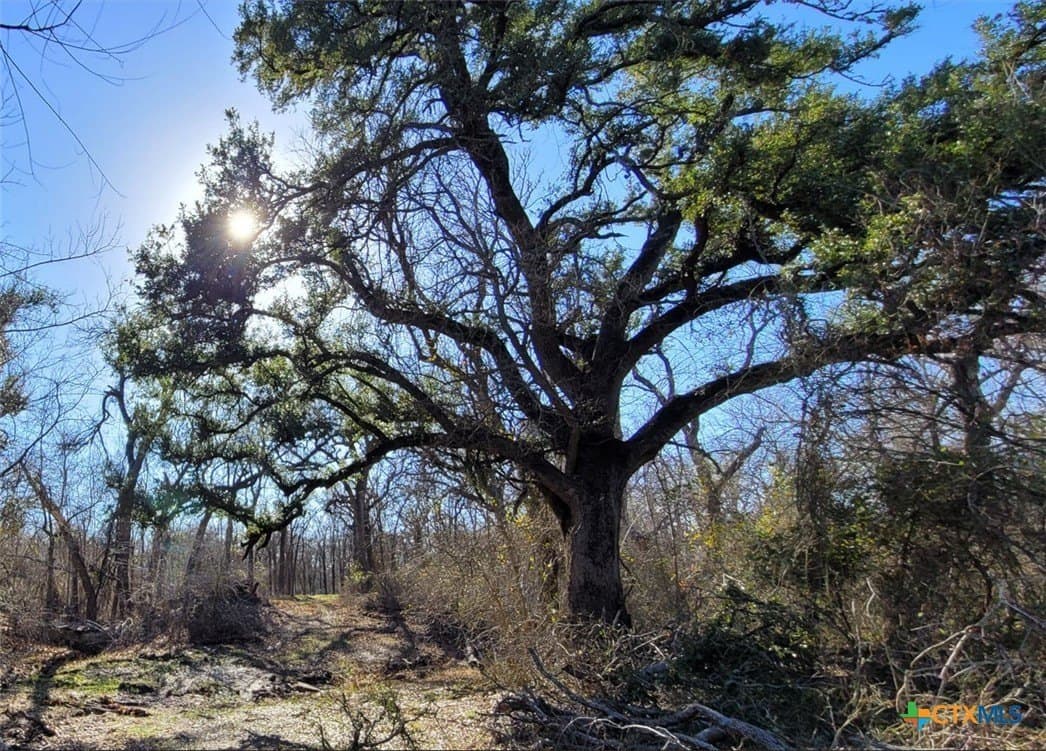 41.92 acres in Bell County - photo 12