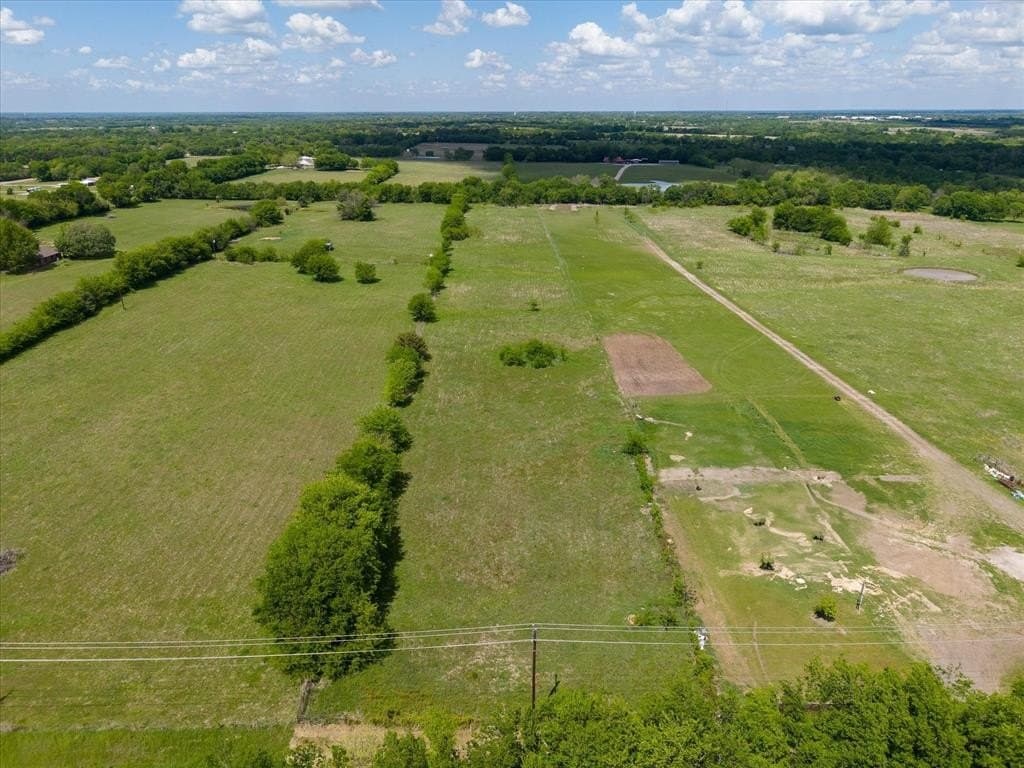 4.78 acres in Rains County gallery image 2