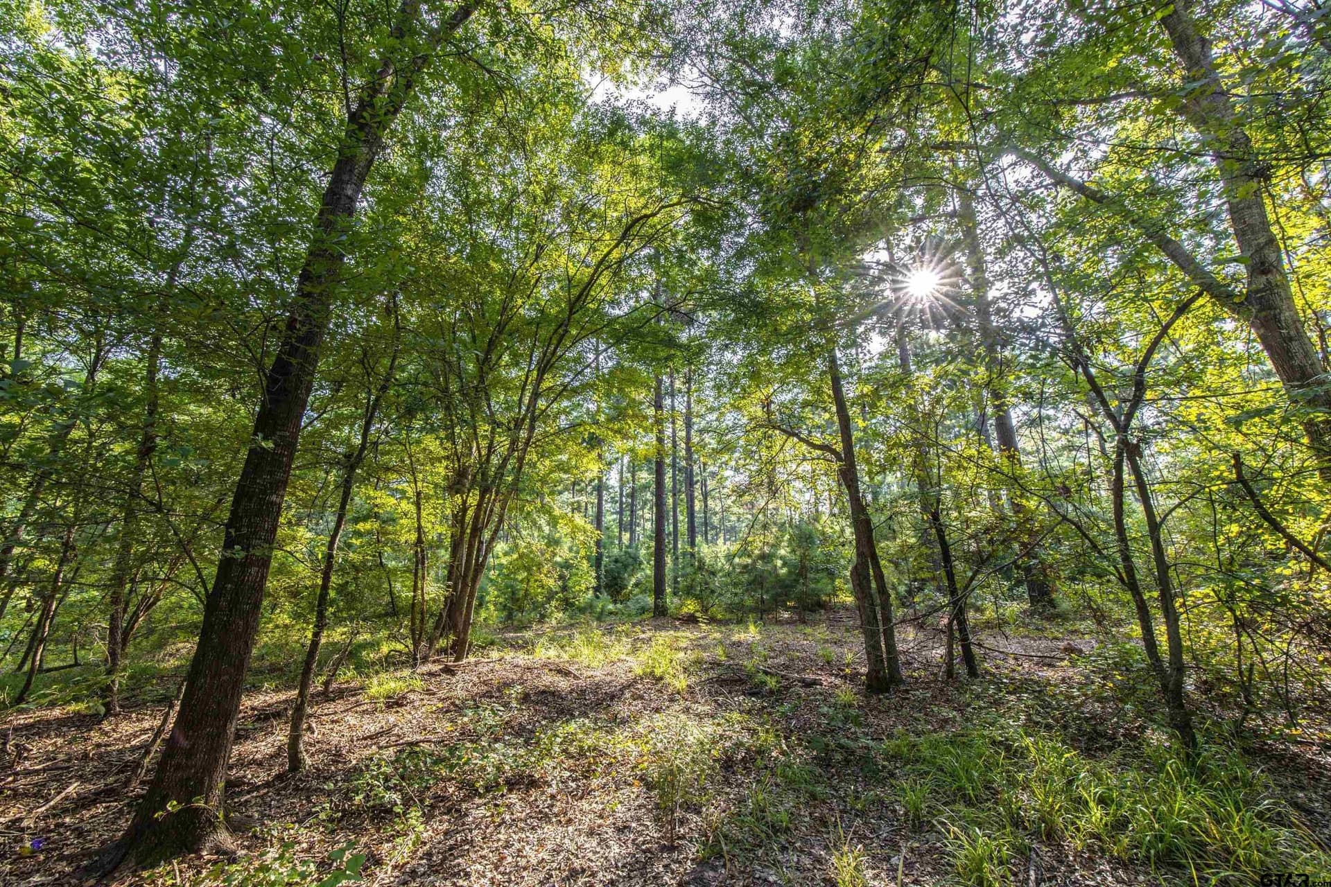 94.5 acres in Henderson County - photo 19