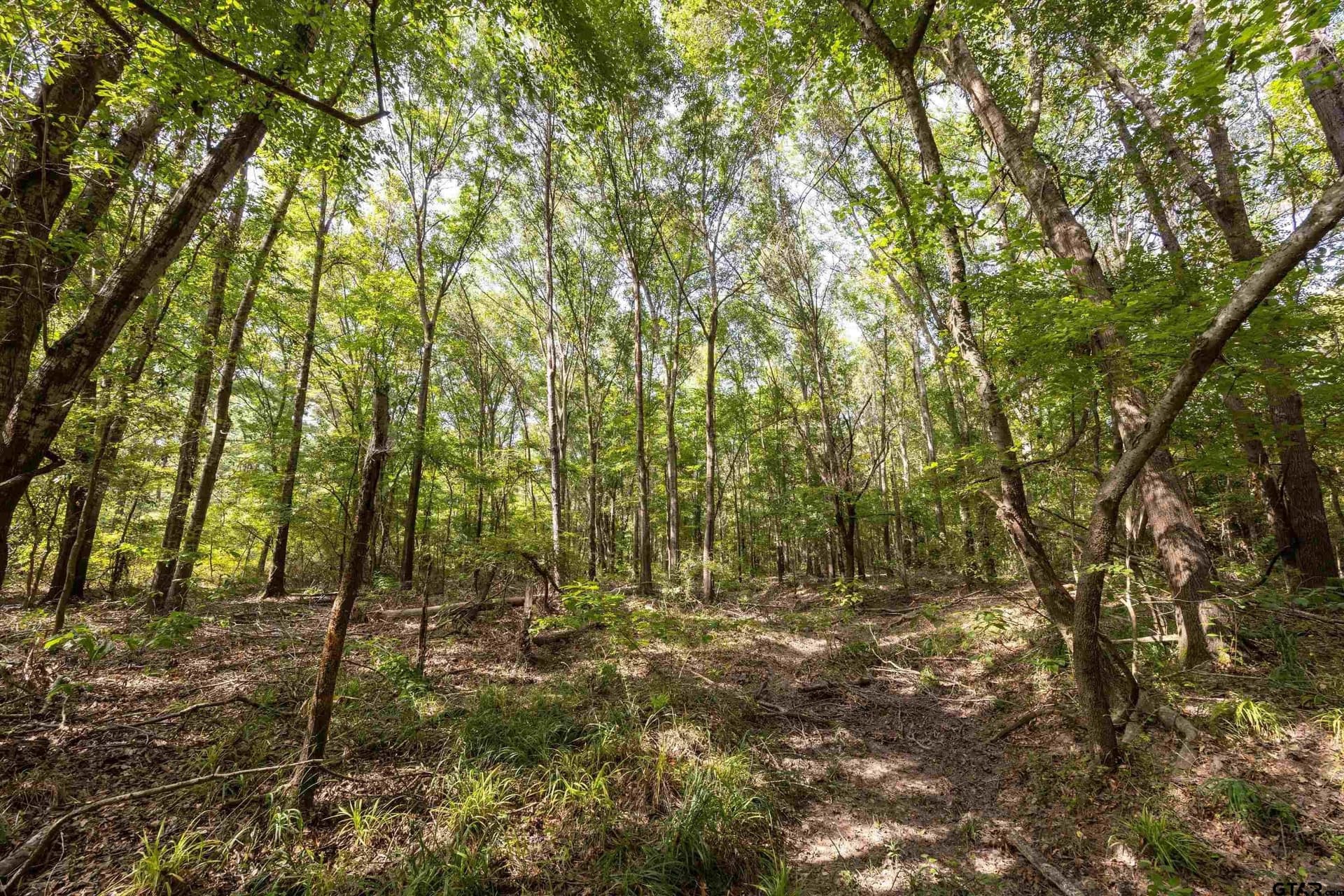 94.5 acres in Henderson County - photo 12