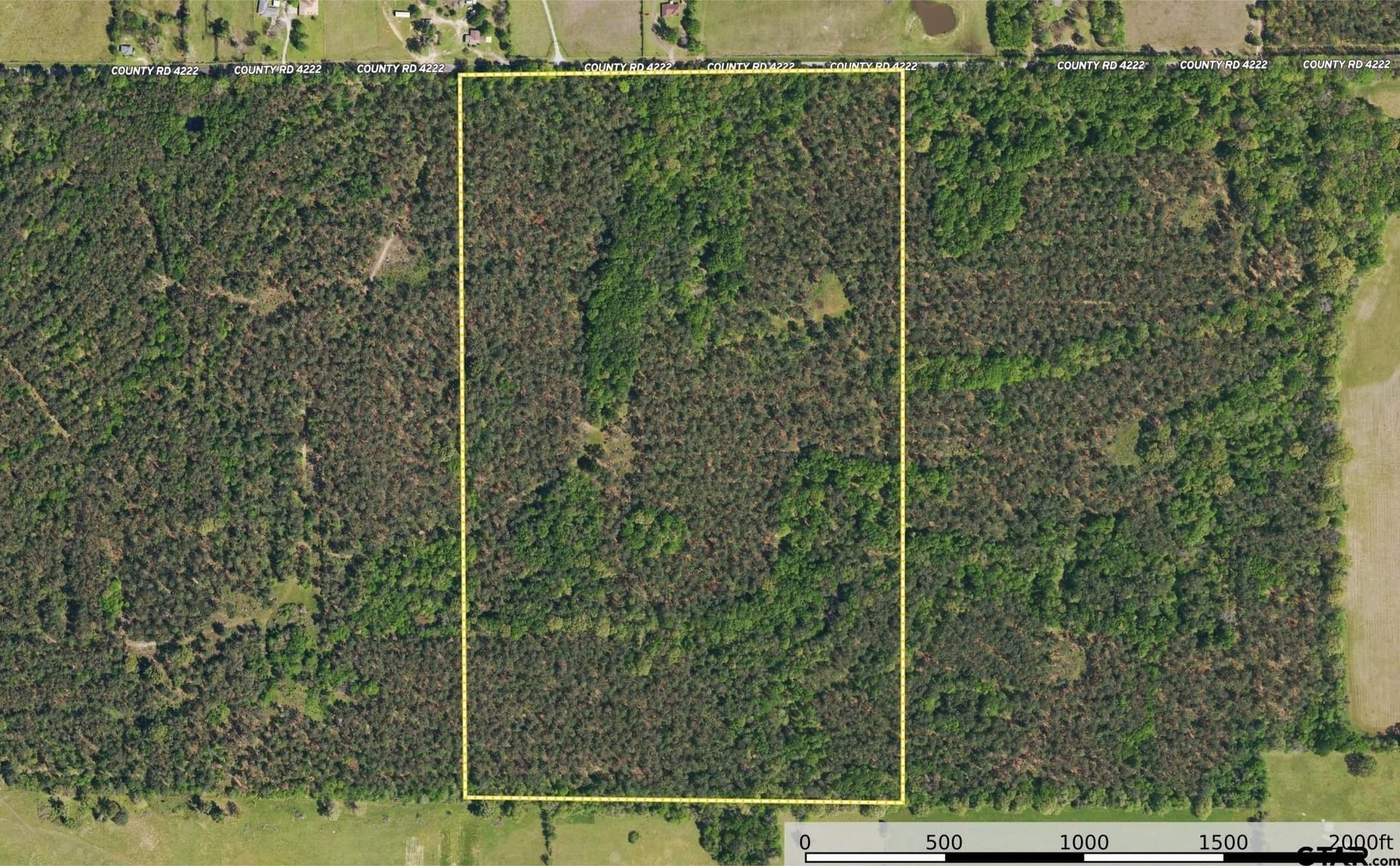 94.5 acres in Henderson County - photo 27