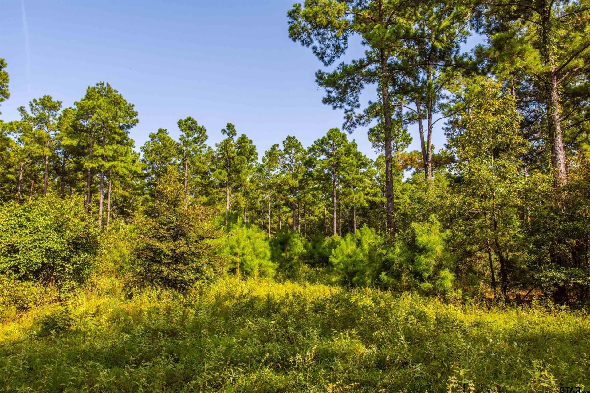 94.5 acres in Henderson County - photo 7