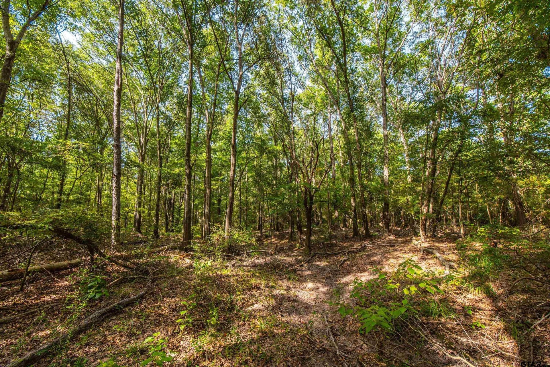 94.5 acres in Henderson County - photo 13