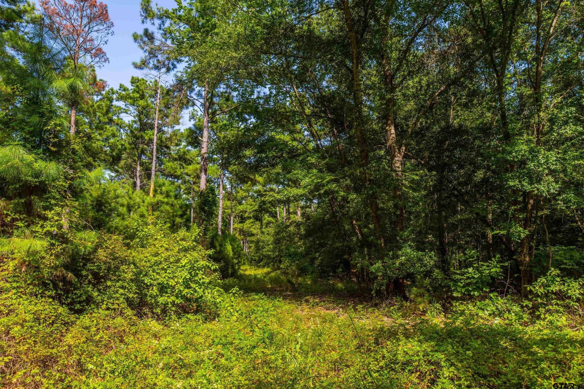 94.5 acres in Henderson County - photo 9