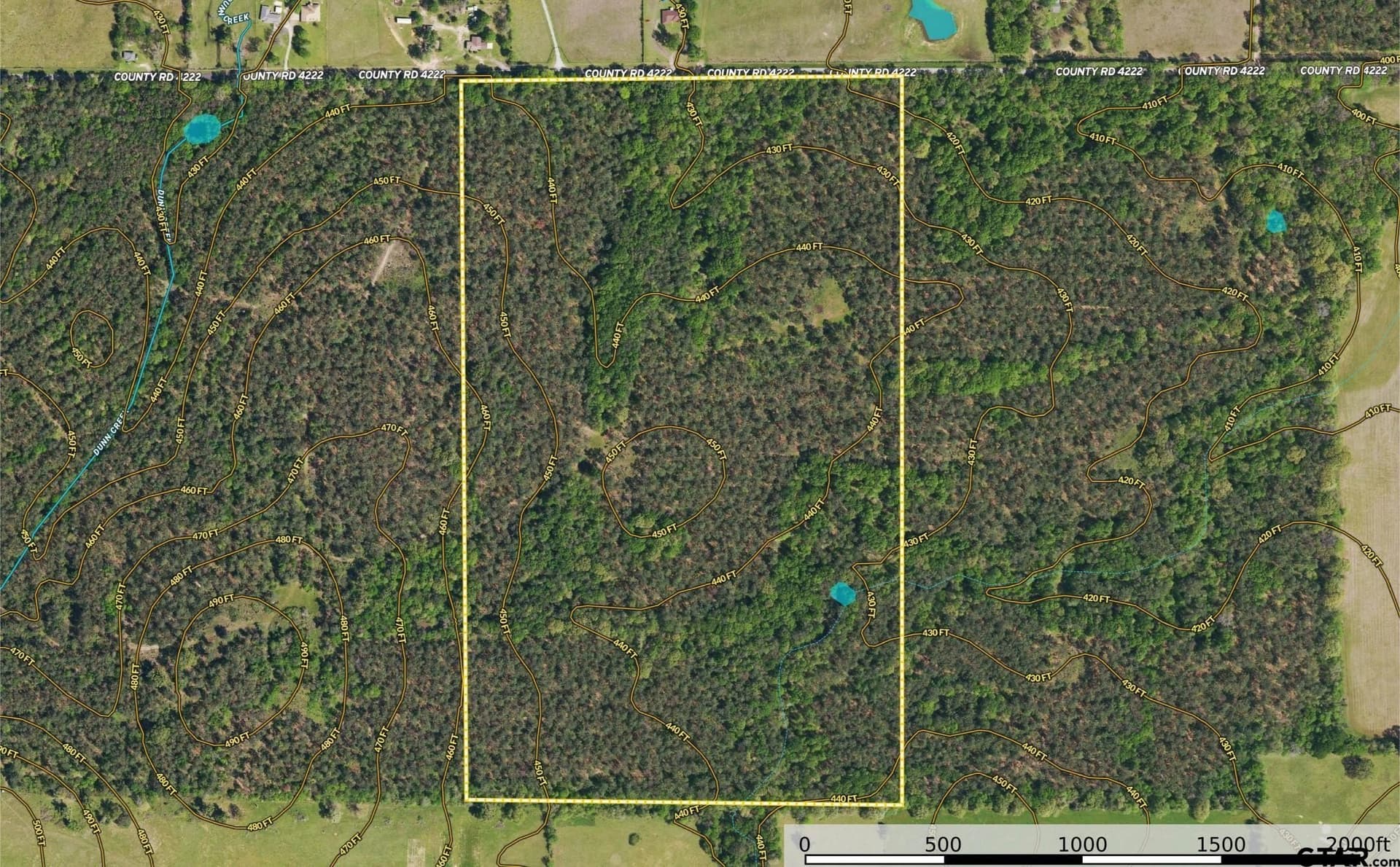 94.5 acres in Henderson County - photo 28