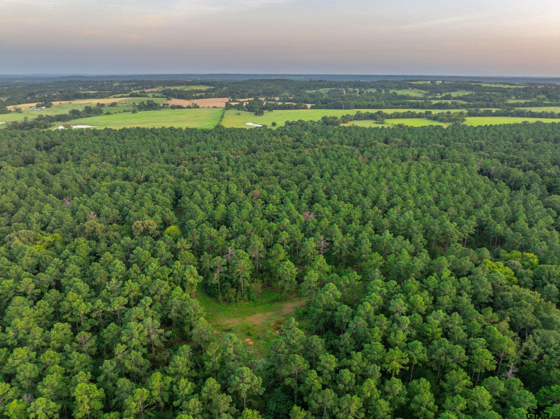 94.5 acres in Henderson County - photo 21