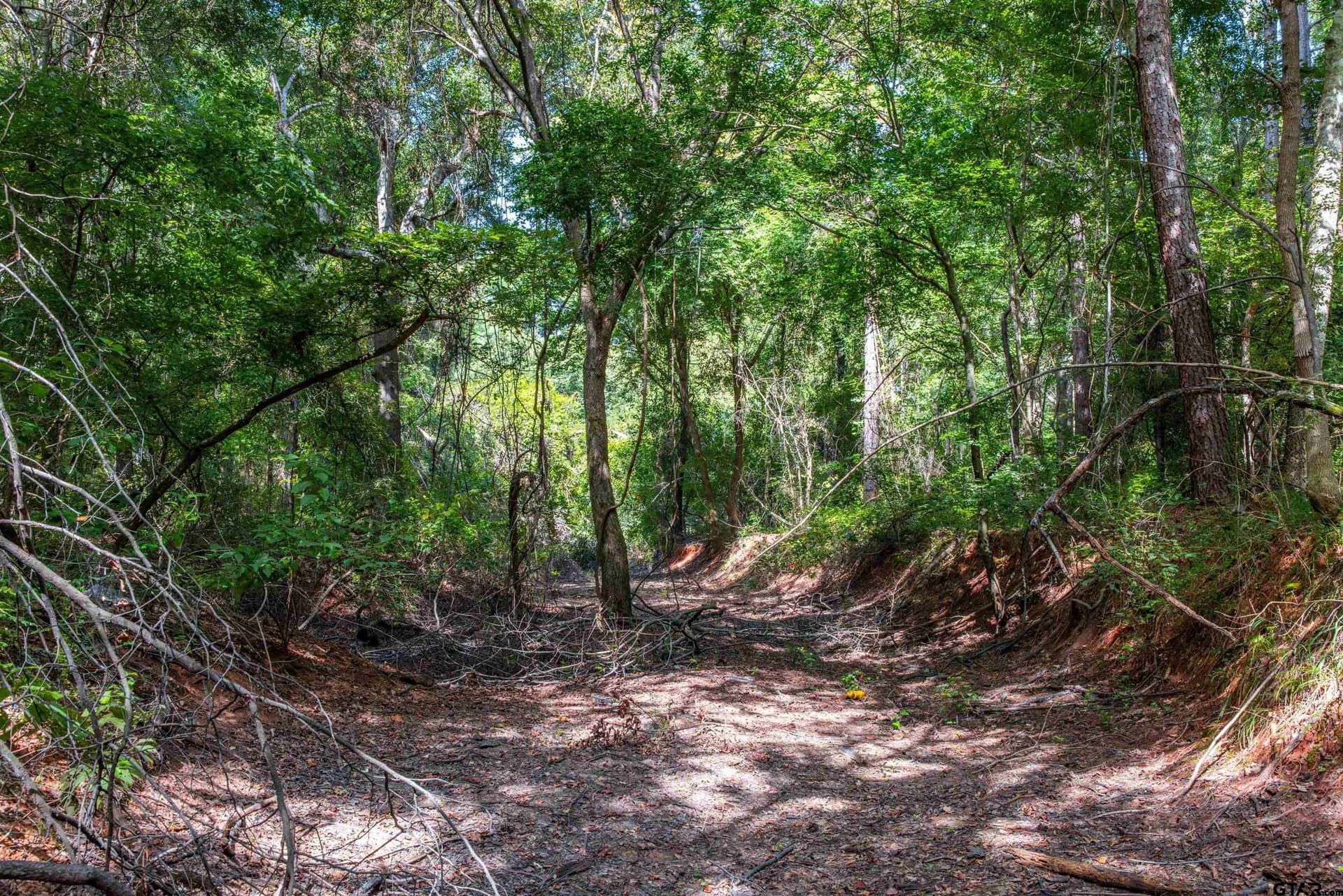 94.5 acres in Henderson County - photo 4