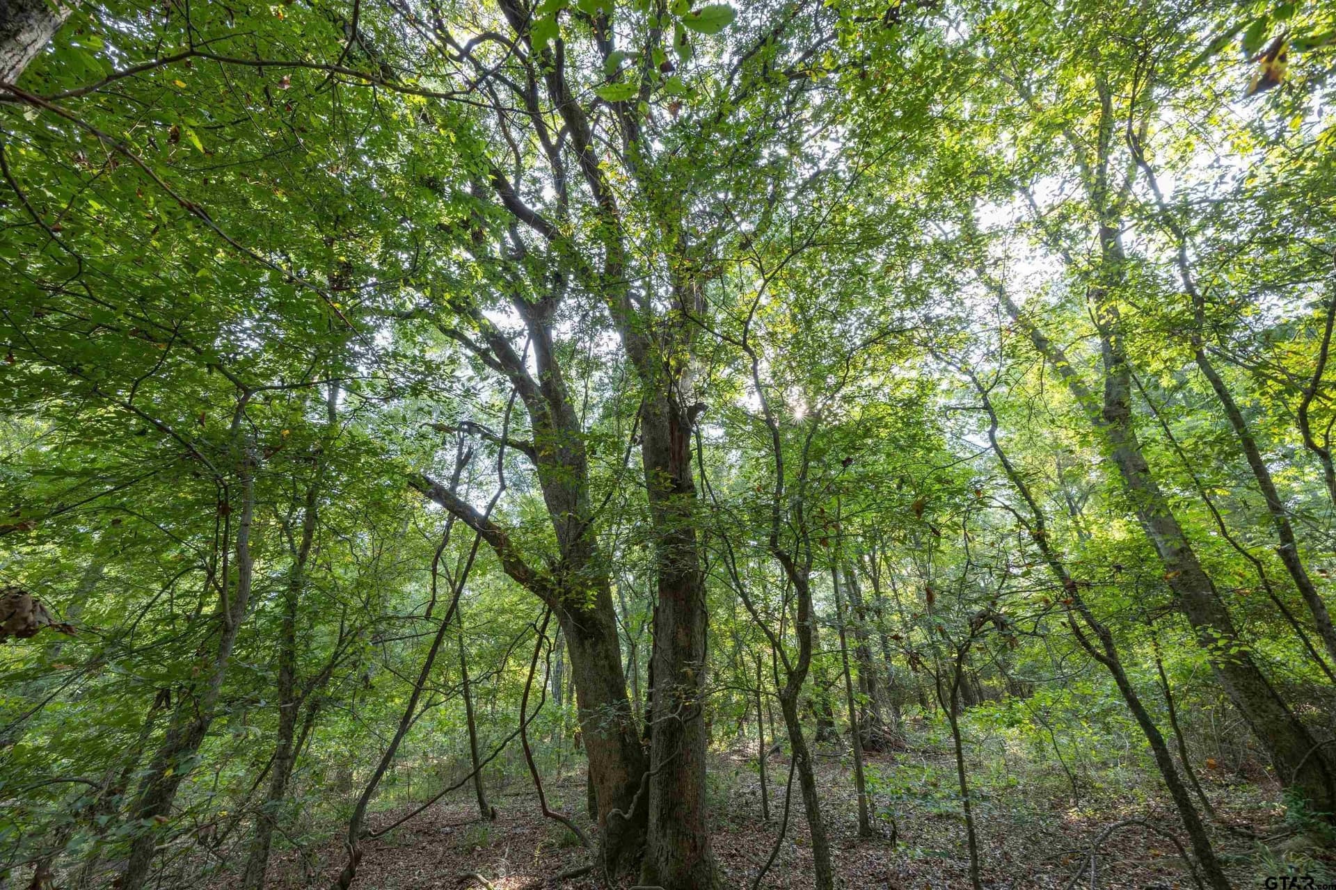 94.5 acres in Henderson County - photo 14