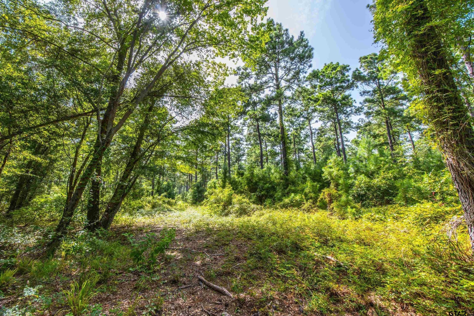 94.5 acres in Henderson County - photo 8
