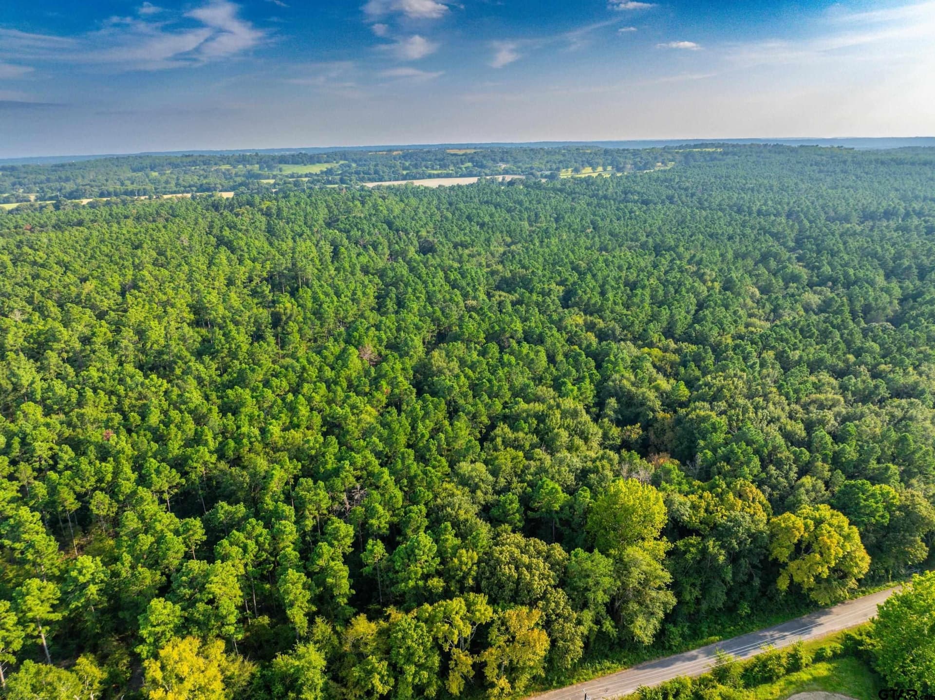 94.5 acres in Henderson County - photo 24