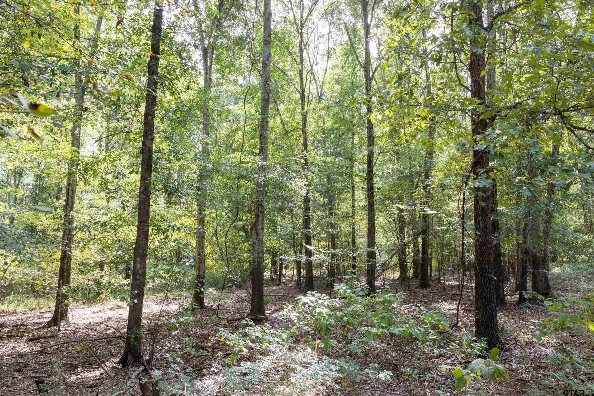 94.5 acres in Henderson County - photo 2