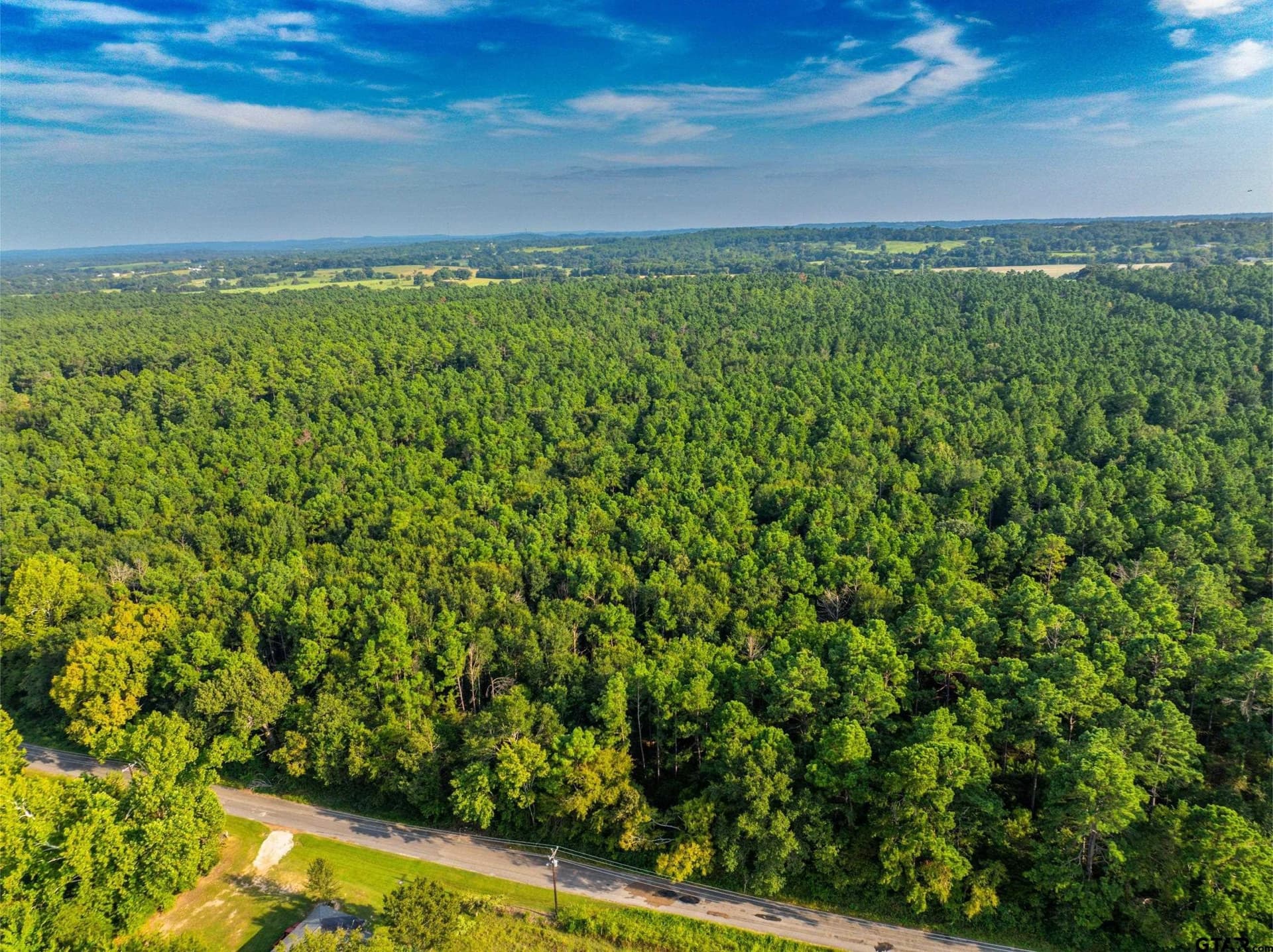 94.5 acres in Henderson County - photo 23