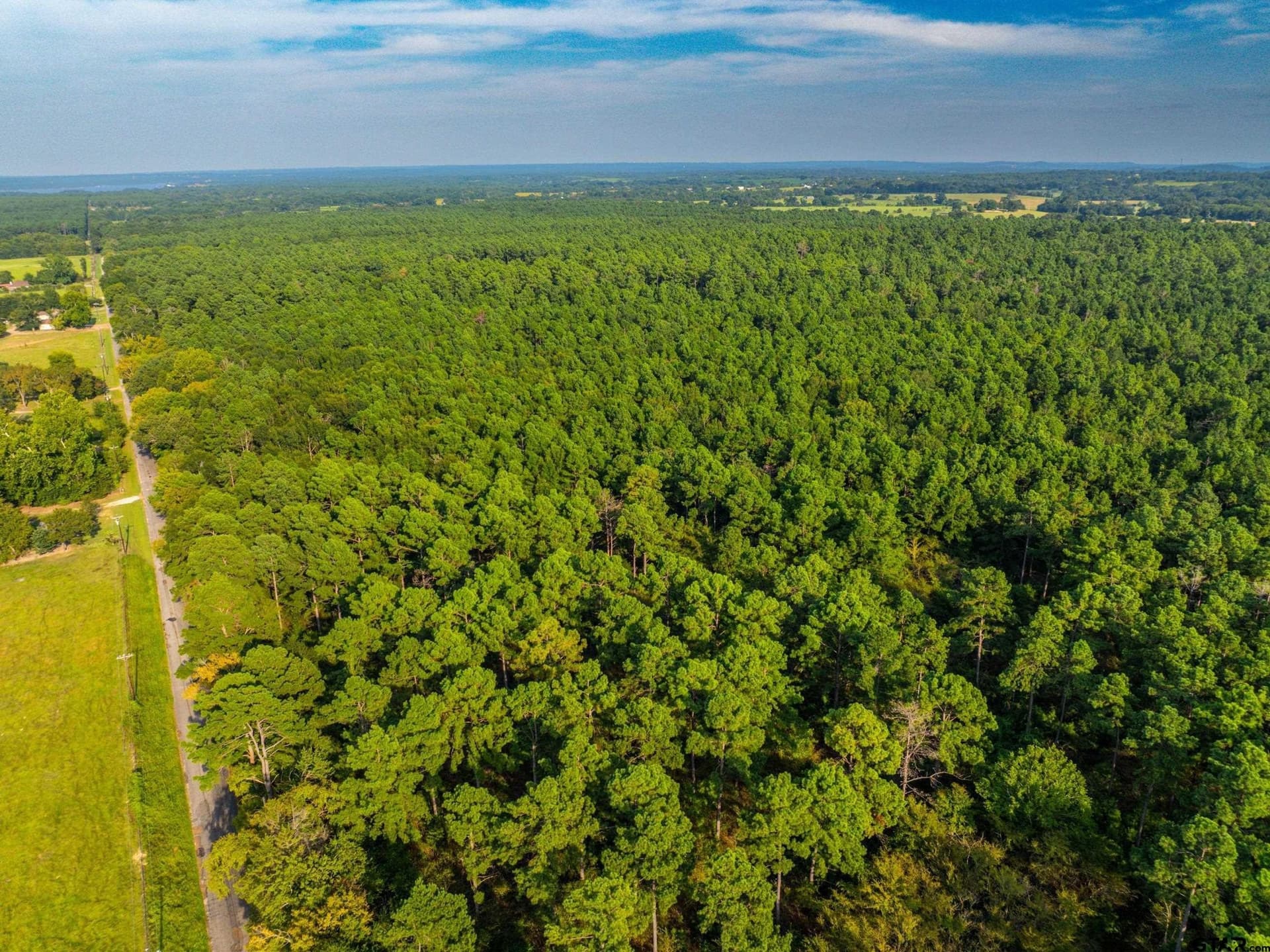 94.5 acres in Henderson County - photo 22